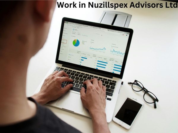 Work in Nuzillspex Advisors Ltd – Overview